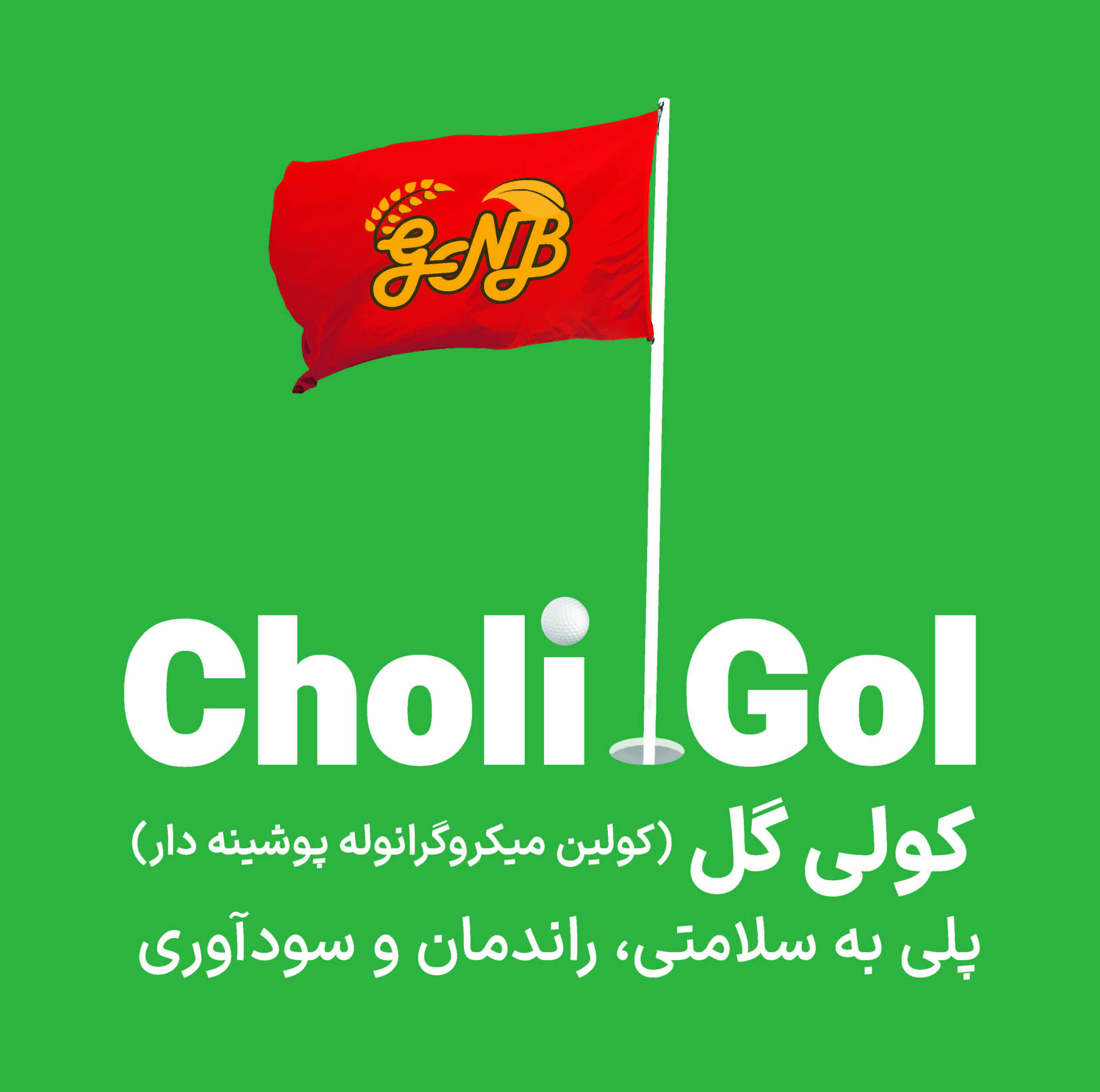 Choli Gol- کولی گل (کولین میکرو گرانوله پوشینه دار)