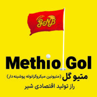 Methio Gol- متیوگل (متیونین میکروگرانوله پوشینه دار)