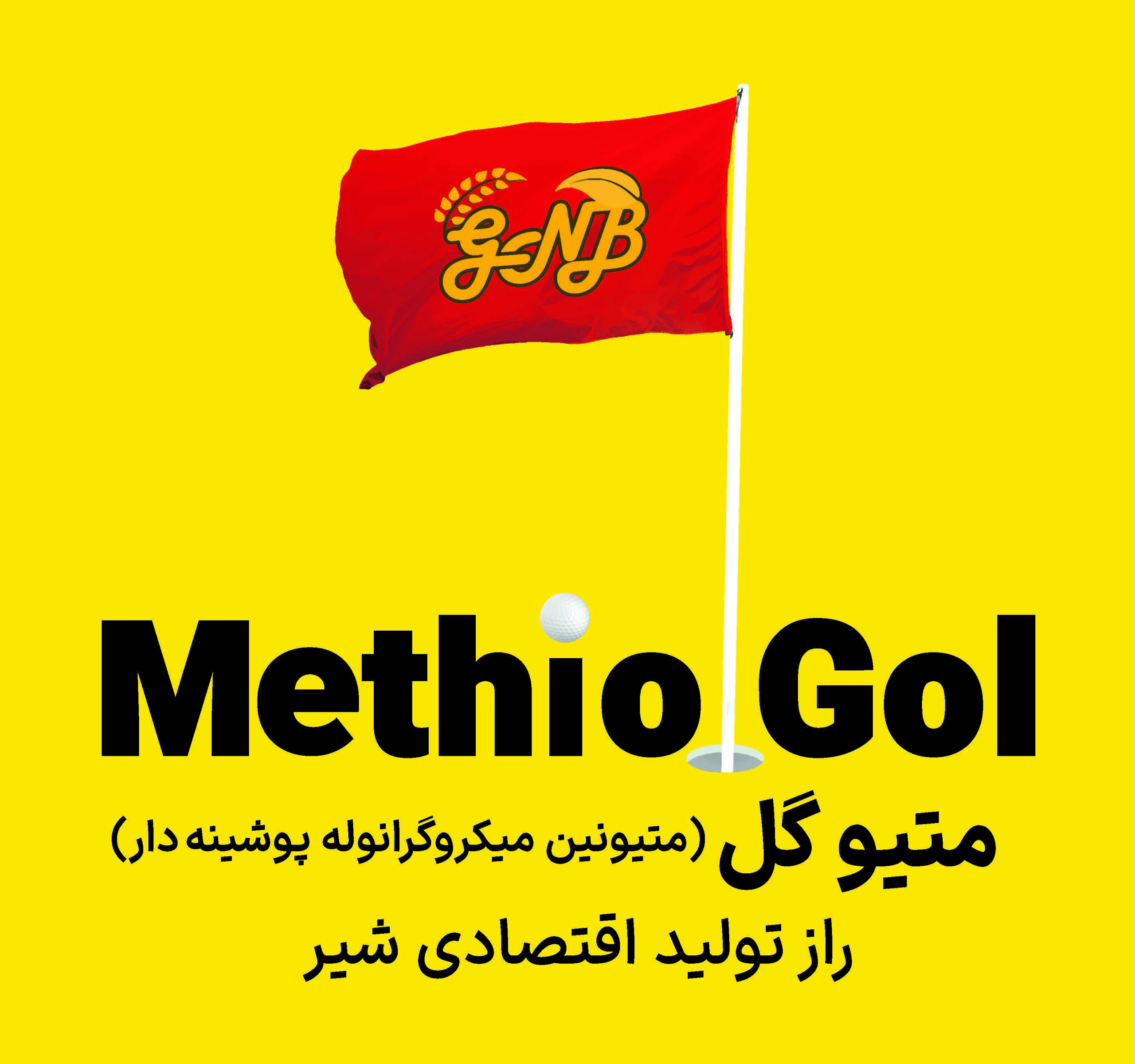 Methio Gol- متیوگل (متیونین میکروگرانوله پوشینه دار)
