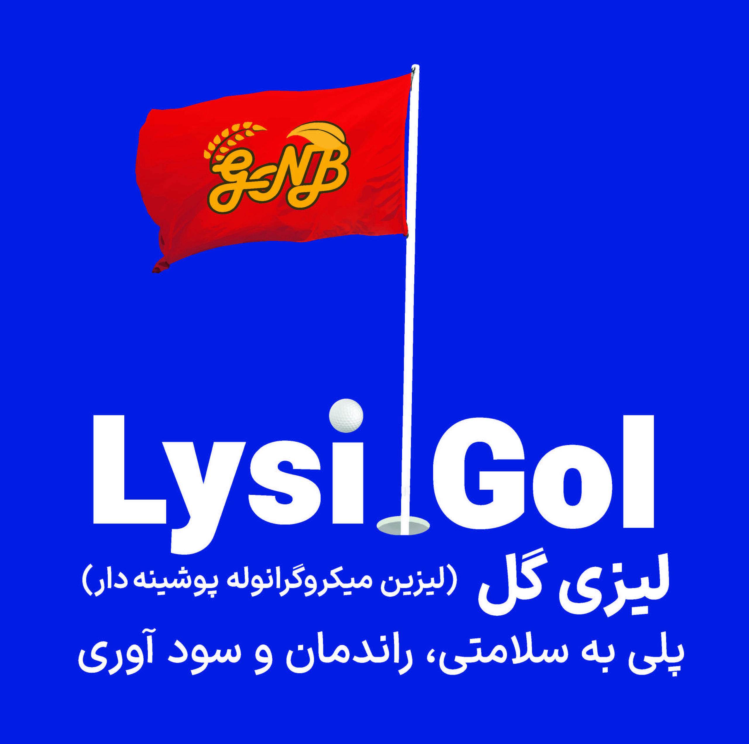 Lysi Gol – لیزی گل (لیزین میکرو گرانوله پوشینه دار)